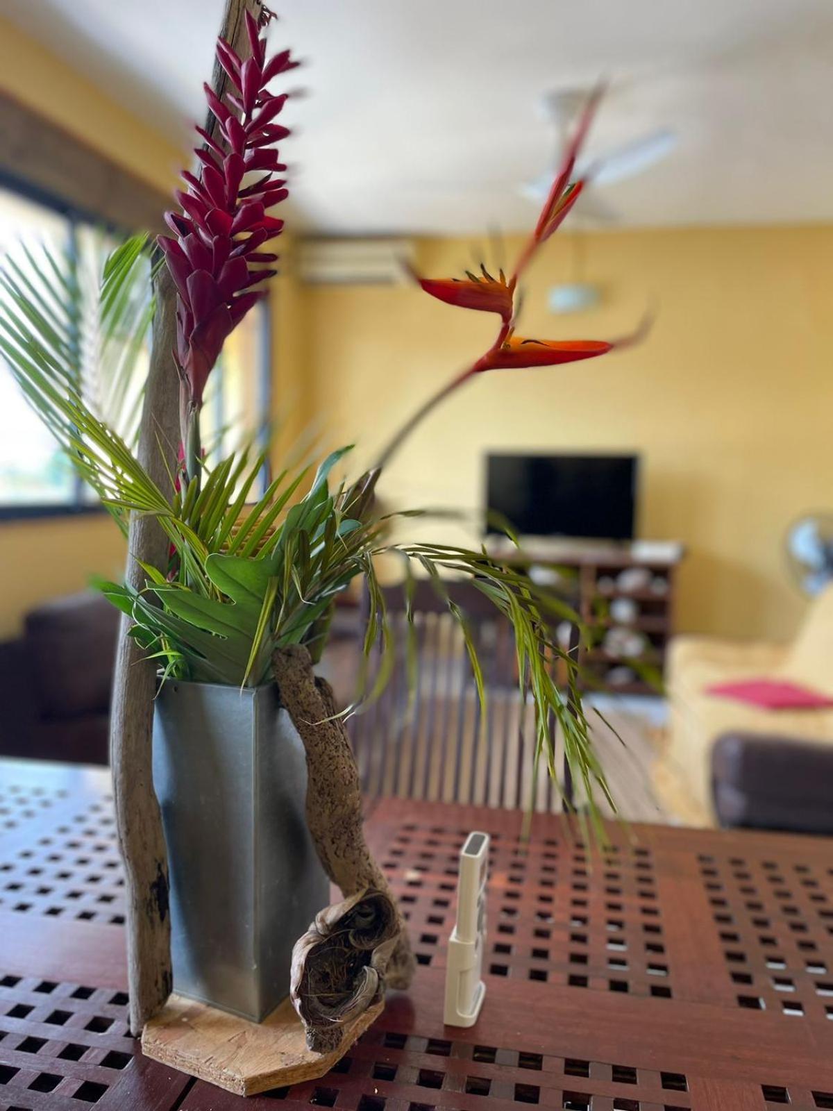 Appartement Tout Confort サンタンヌ エクステリア 写真